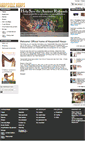 Mobile Screenshot of harpsicle-harps.com